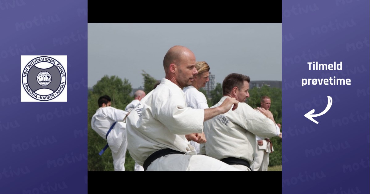 Ungdom og Voksen begynder