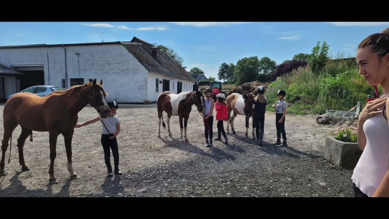Tilmelding til letøvet hold på Tankefuld Rideklub