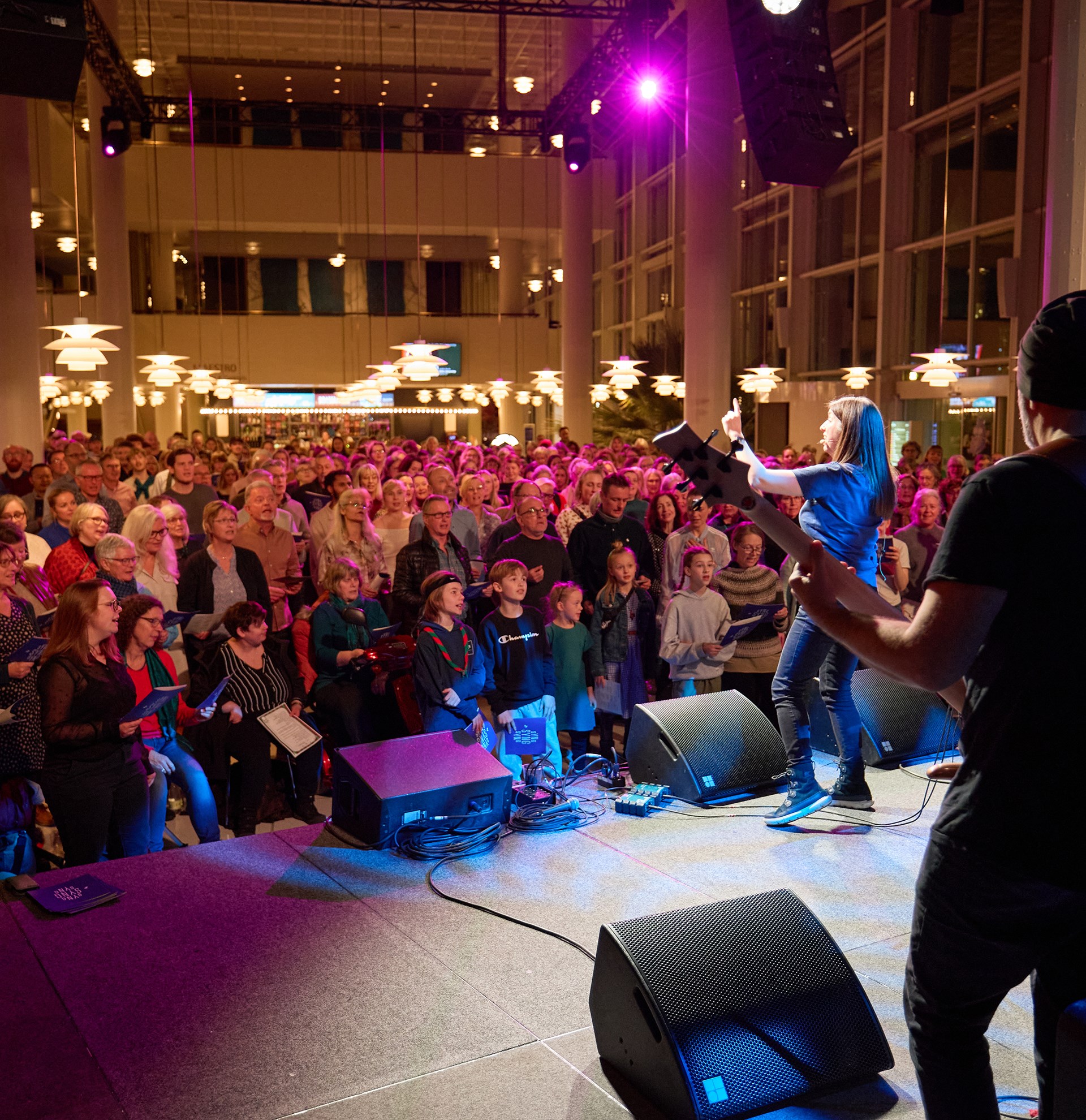 Syng! Syng! Syng! Fællessang og pop-skrål