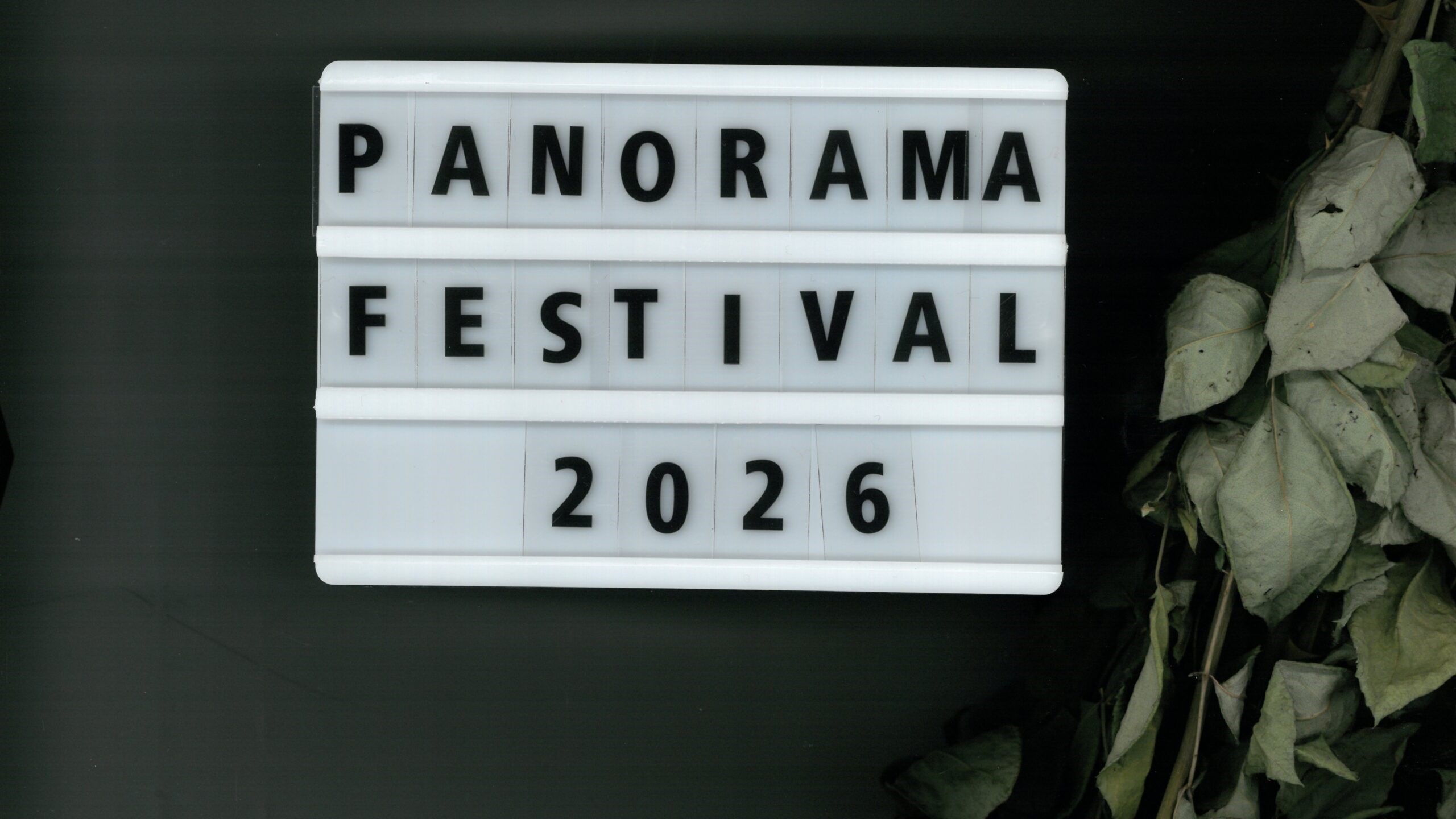 Panorama Festival: Open Workshop #2