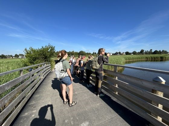 Fugletur i Staunings ø