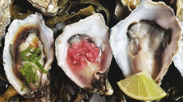 Med Finn på Østers-safari fra Ho. Maksimum 12 deltagere