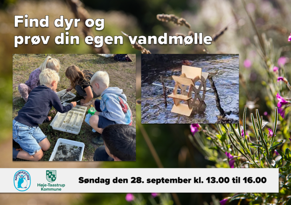 Find dyr og byg din egen vandmølle