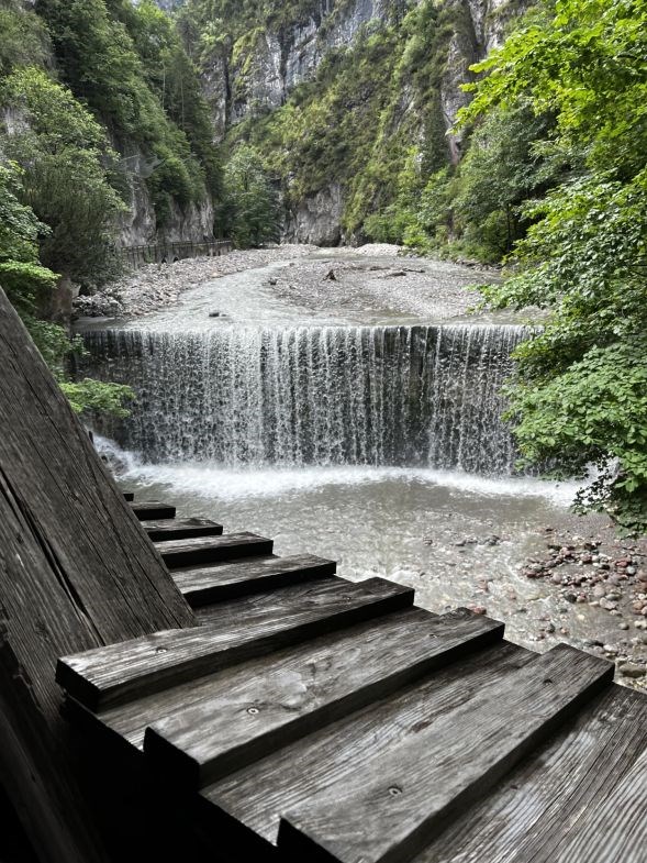 Signes historie med psykisk sygdom og om at turde håbe