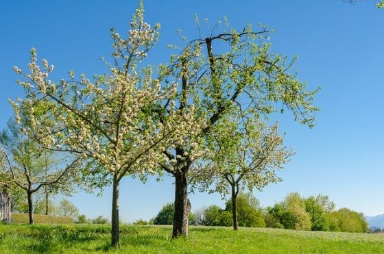 Walk & Talk - Brabrand