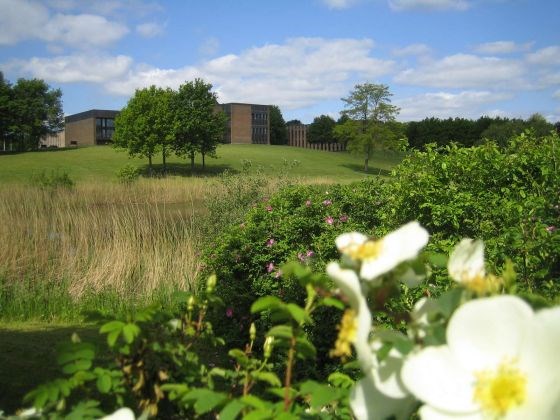 Caféaften med samtale om Livet og Døden - Aabenraa