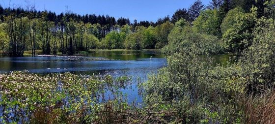 Nørdetid Hjørring - Børglum Klosterskov