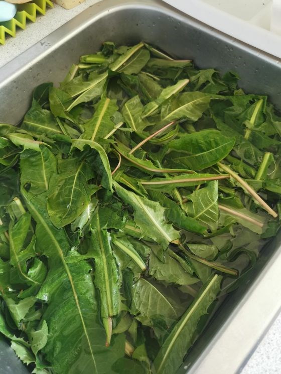 Lær at lave urtesalt