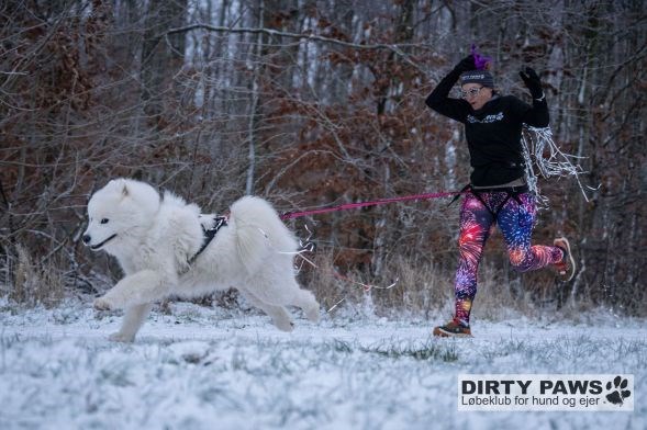 Dirty paws nytårsløb - Rold Skov