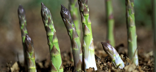 K-Klubben - fællesskab i naturen for kvinder - Hjørring