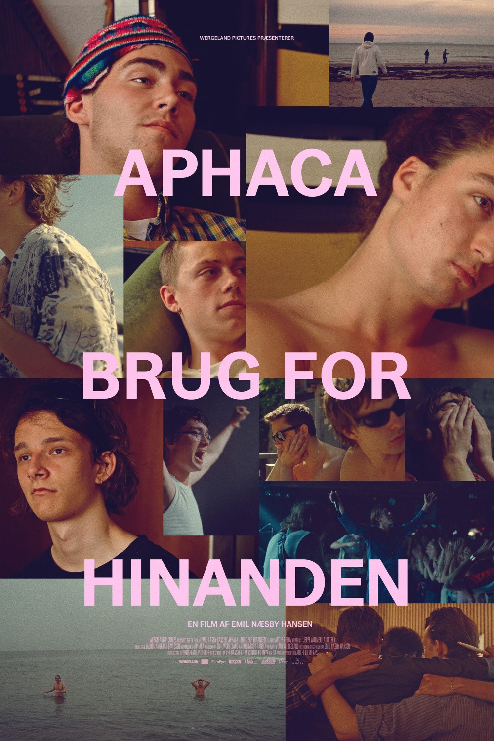 Aphaca: Brug for hinanden