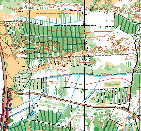 Klubløb i Lilleheden