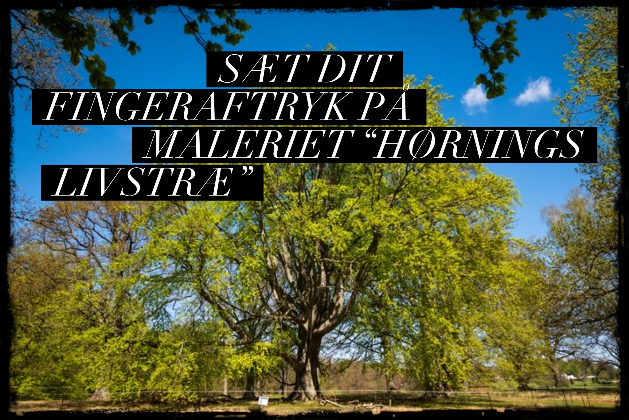 Vær med til at skabe "Hørnings livstræ"