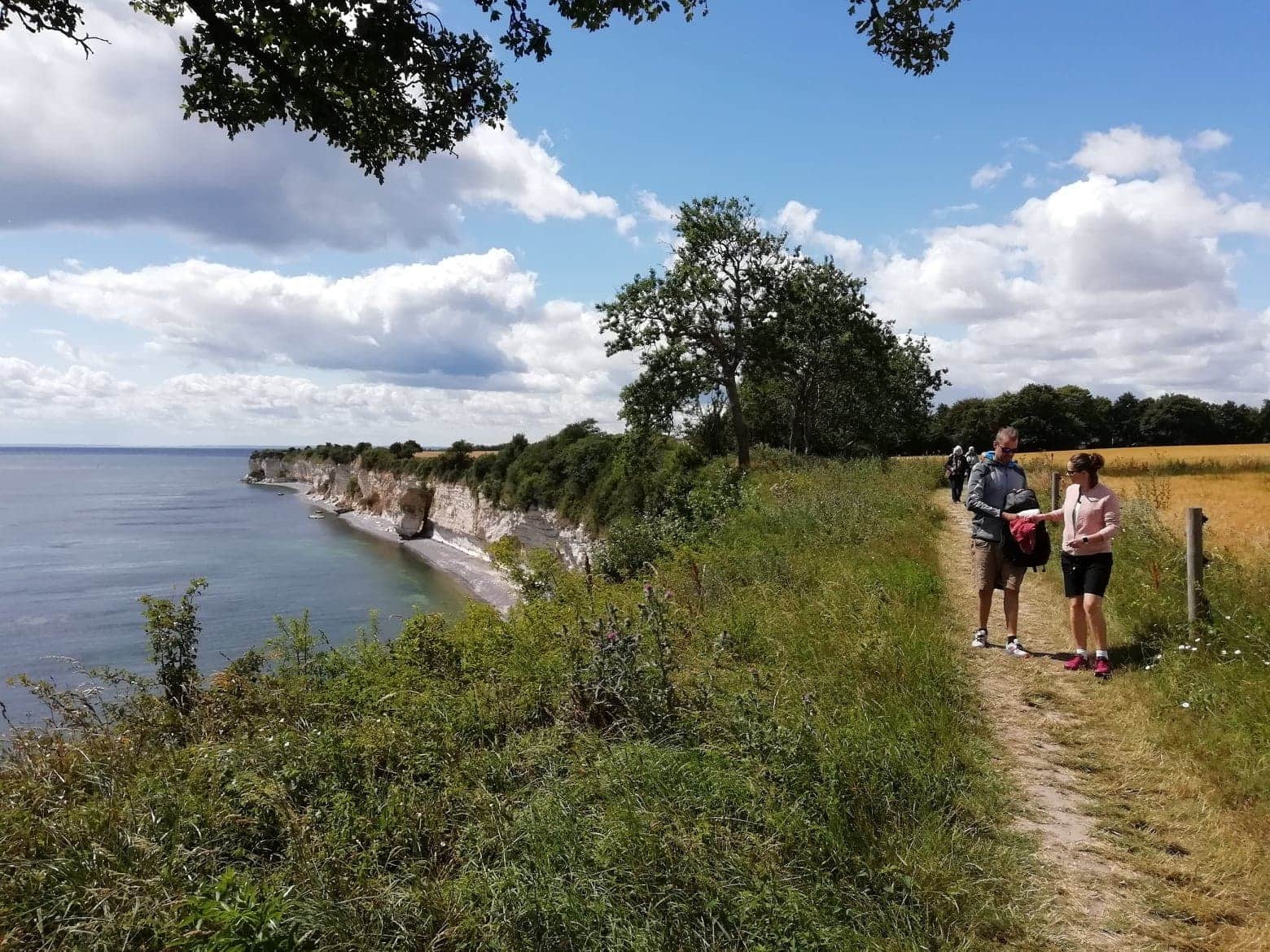 Kulinarisk vandretur langs Stevns Klint