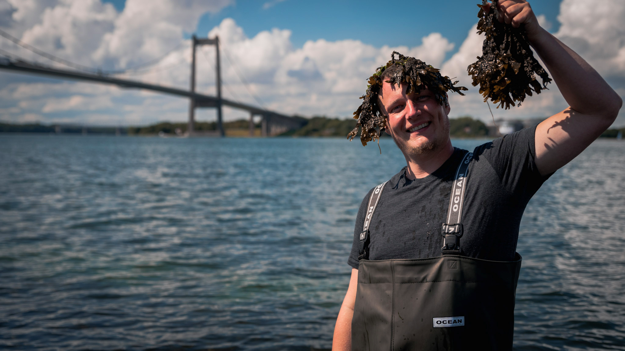 Tangsafari / Seaweed Safari