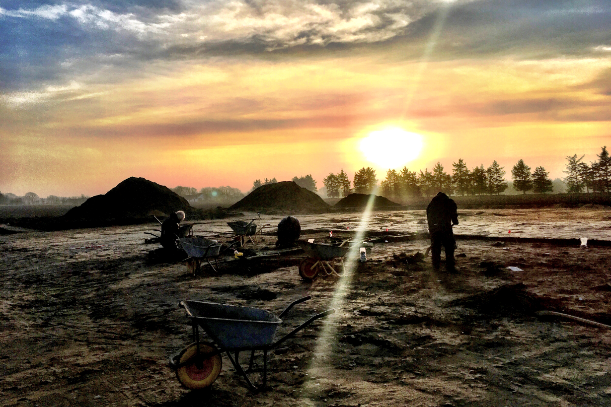 Jernalderens ofringer ved Fæsted og Harreby