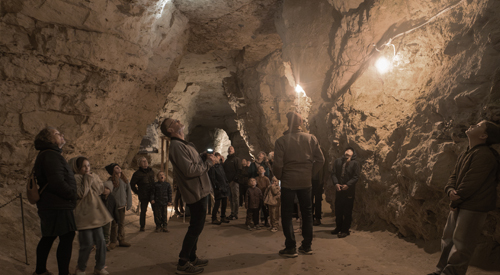 Flagermustur i Thingbæk Kalkminer