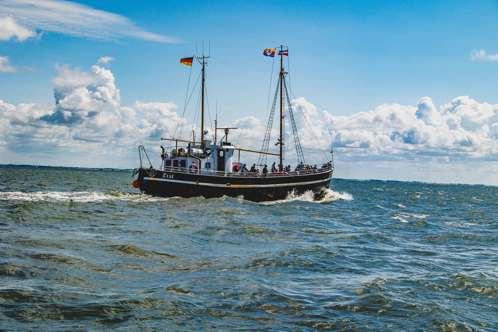 Sælsafari med skib - Sort Safari