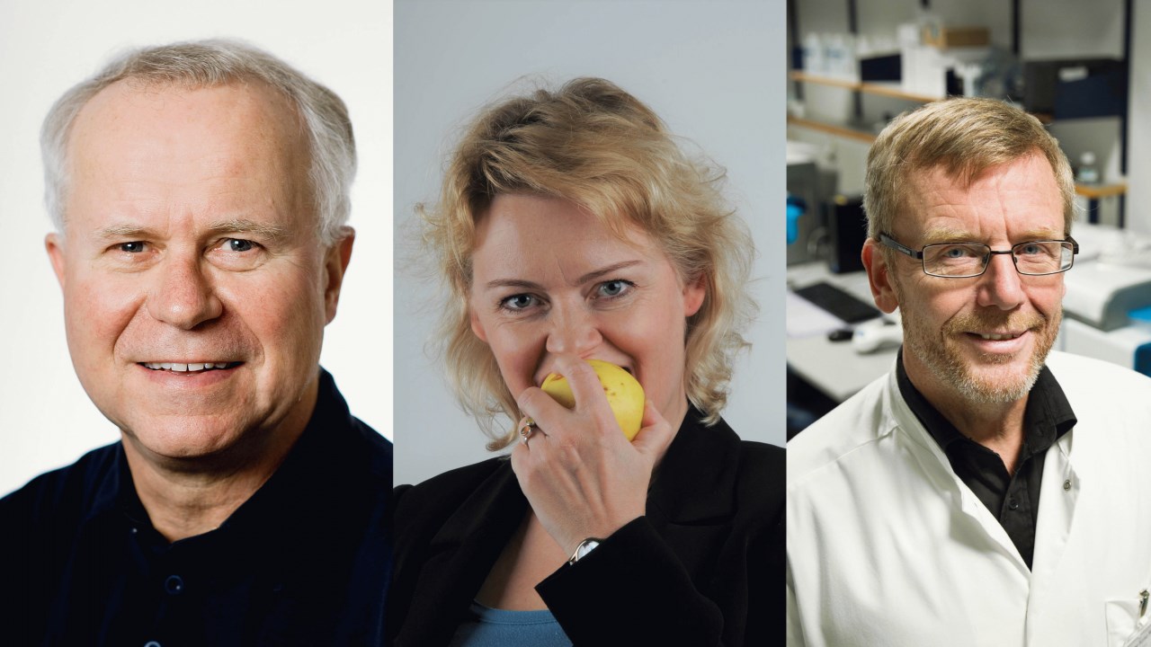 Seniorakademi efterår 2026