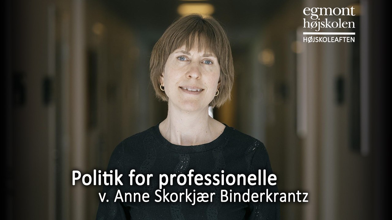 Politik for professionelle?