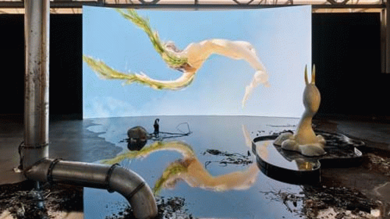 Søndagsrundvisning: Step Inside