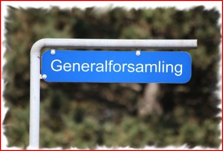 Generalforsamling