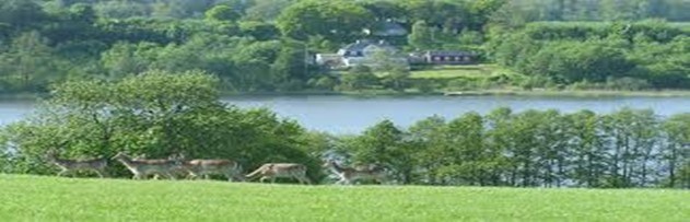 Sommerpicnic i Dyrhaven ved Haderslev