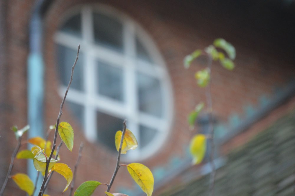 Under Tårnet - Tro versus tro