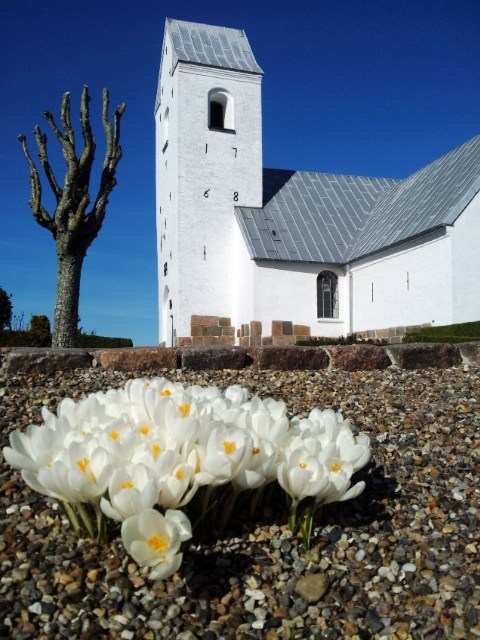 Singh og Goldschmidt - koncert