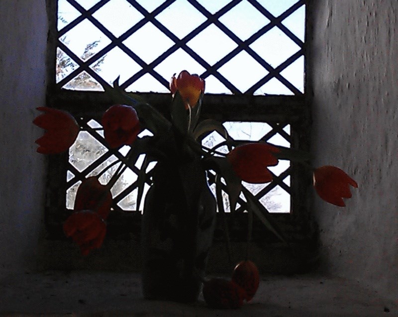 Koncert med Fangekoret under ledelse af Louise Adrian. Gratis adgang