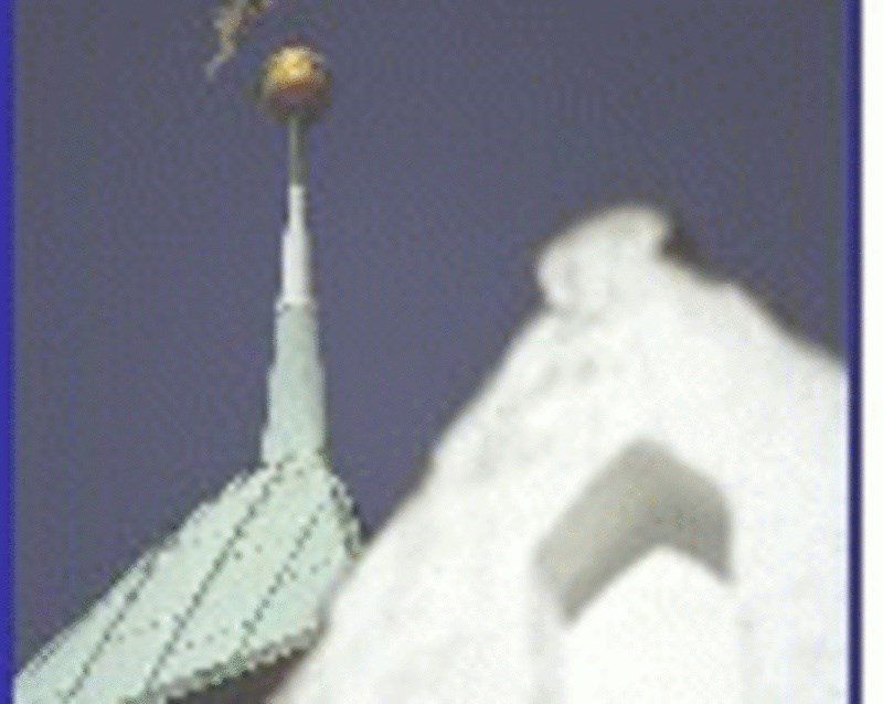 Samtaleforum om emnet lykke