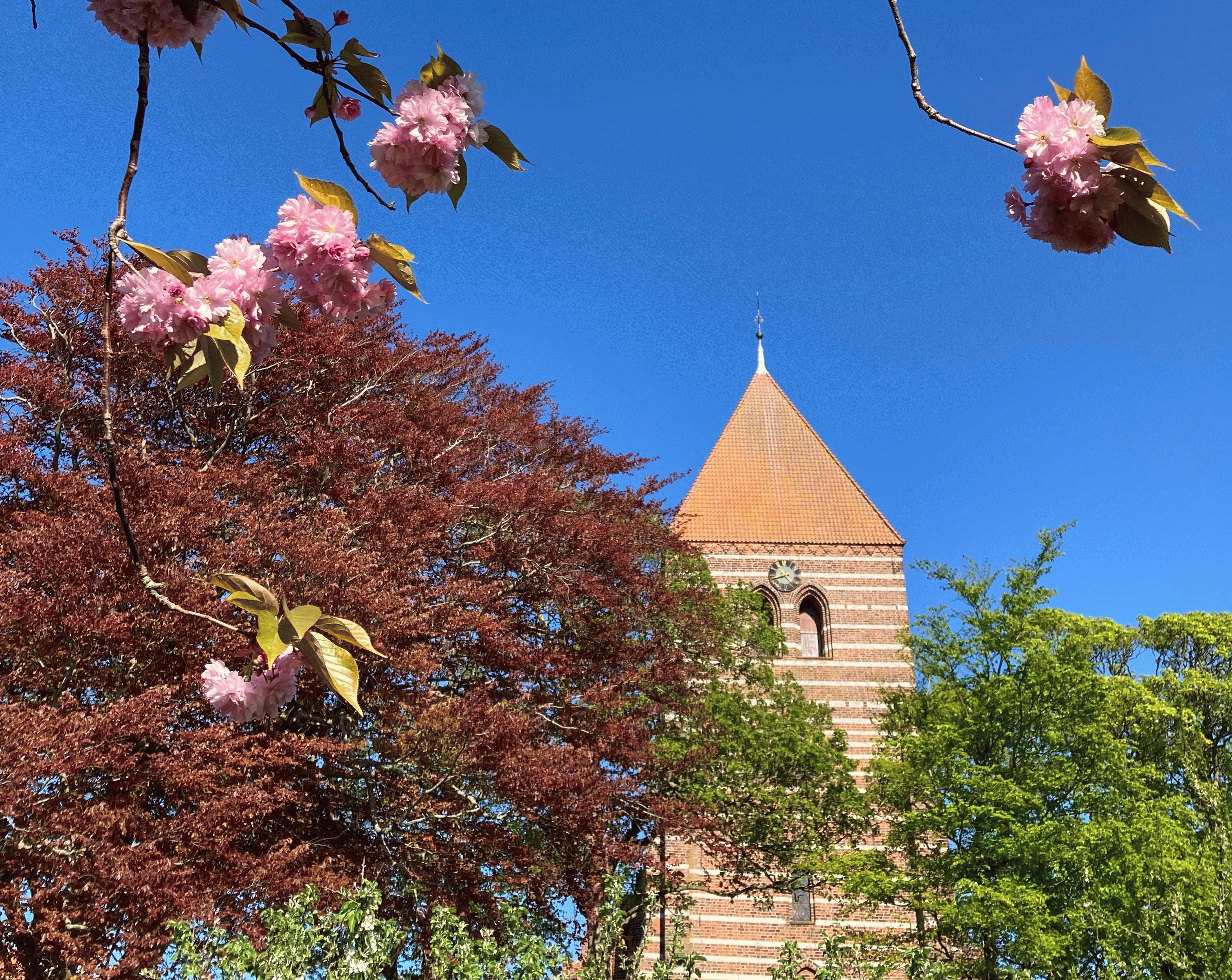 Foredrag: De glemte koner ved Mette Møllevang