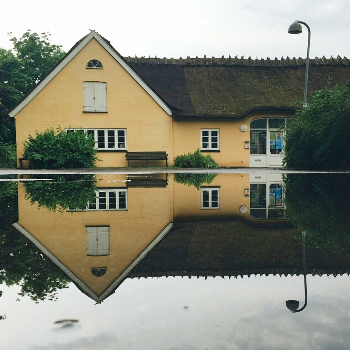Kino Bambino: Film om planter, spirer og forår