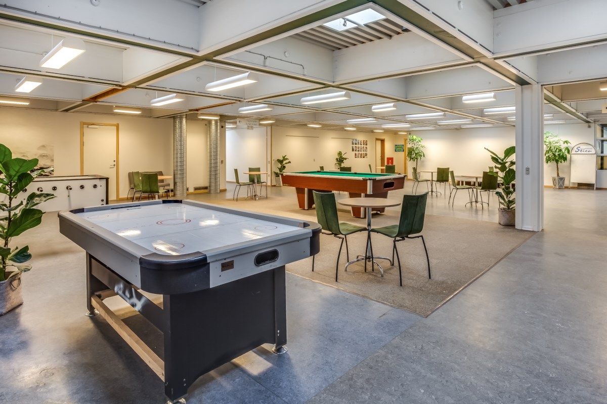 Workshop om planteformering - for nybegyndere og øvede