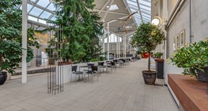 Turist i Talebans tjeneste