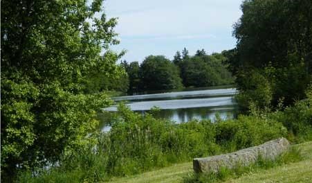 Dybvad Tunnelløb & WALKin Dybvad 2023