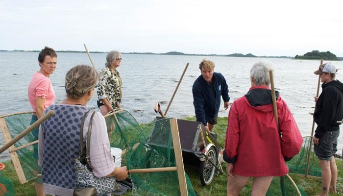 Spis havet - vi sanker tang med Svend Hamman fra Strandhøst