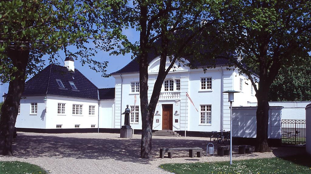 Workshop | Plantefarvning