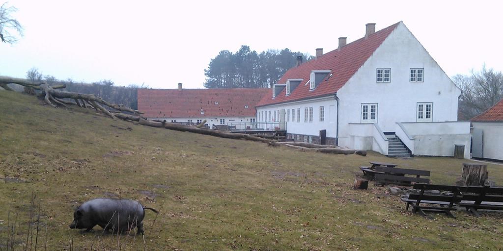 Sanketur og urteworkshop på Røsnæs