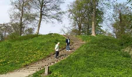 UDSOLGT Vilde Horsens - fugletur i Bygholm Park med ornitolog!