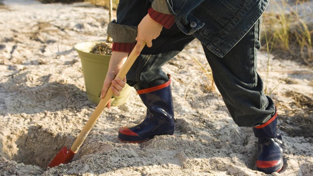 Bagagerumsmarked Vejlby Fed*