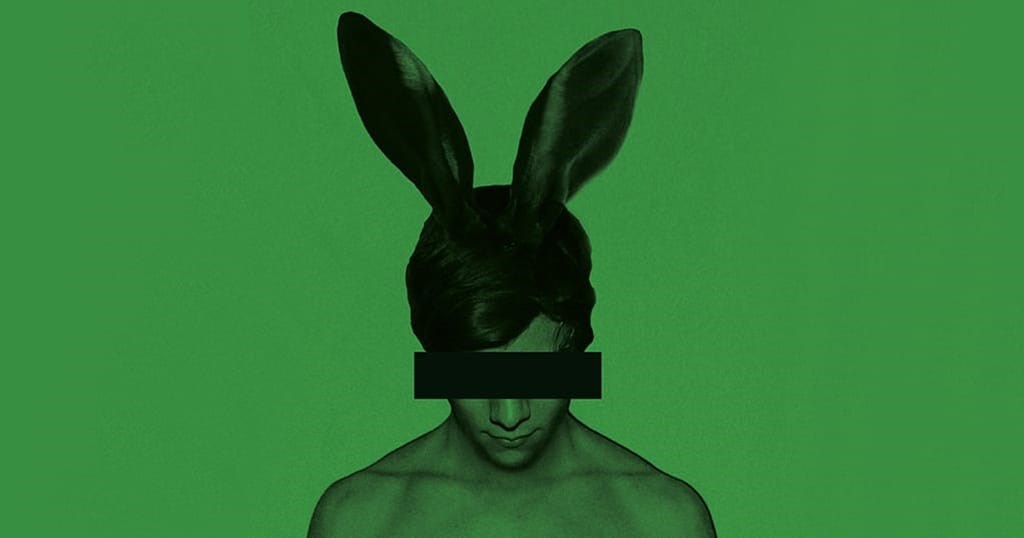 Rød Kanin Hvid Kanin