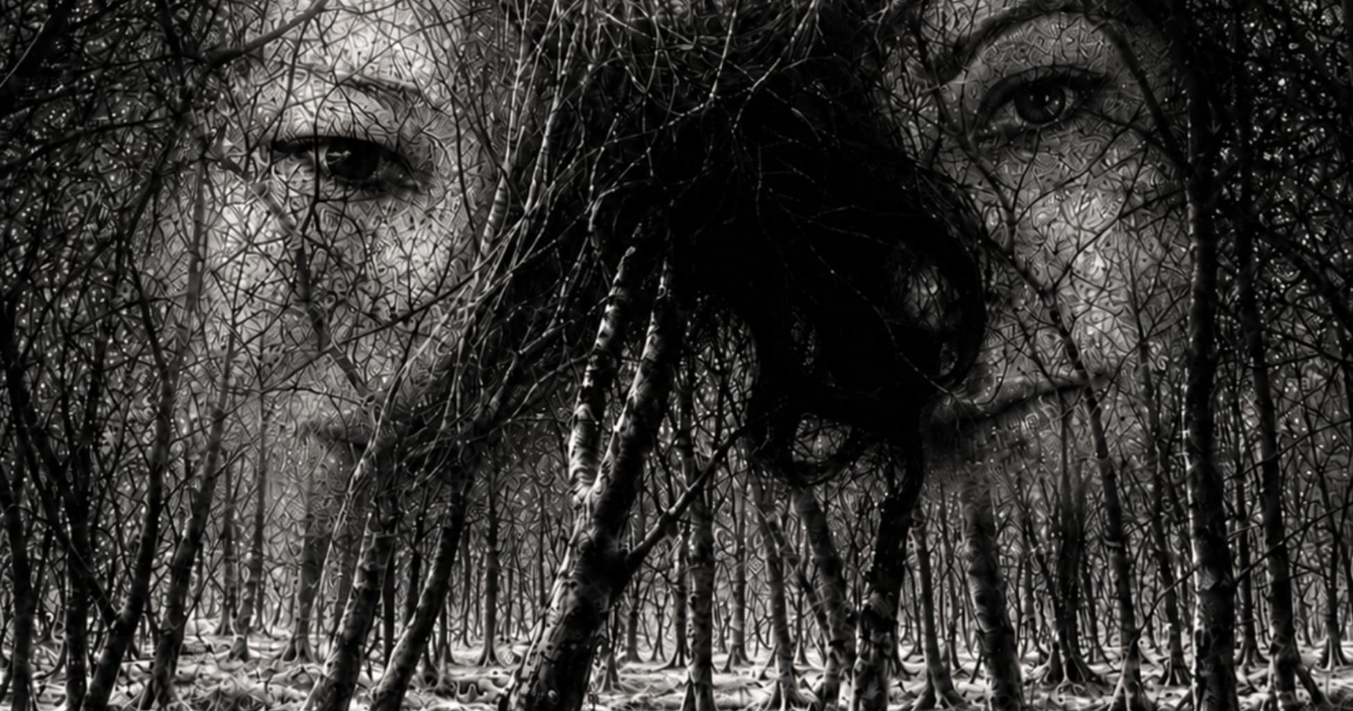 Rewilding Roots