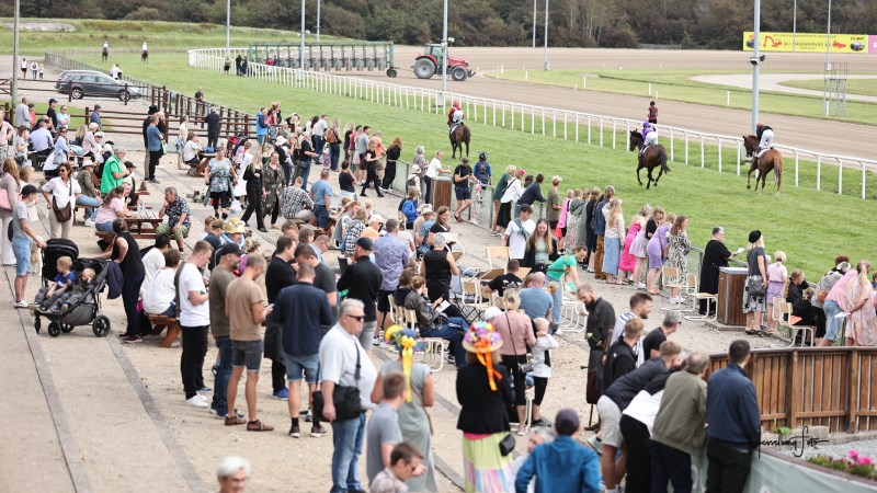 Trav og Galop løb