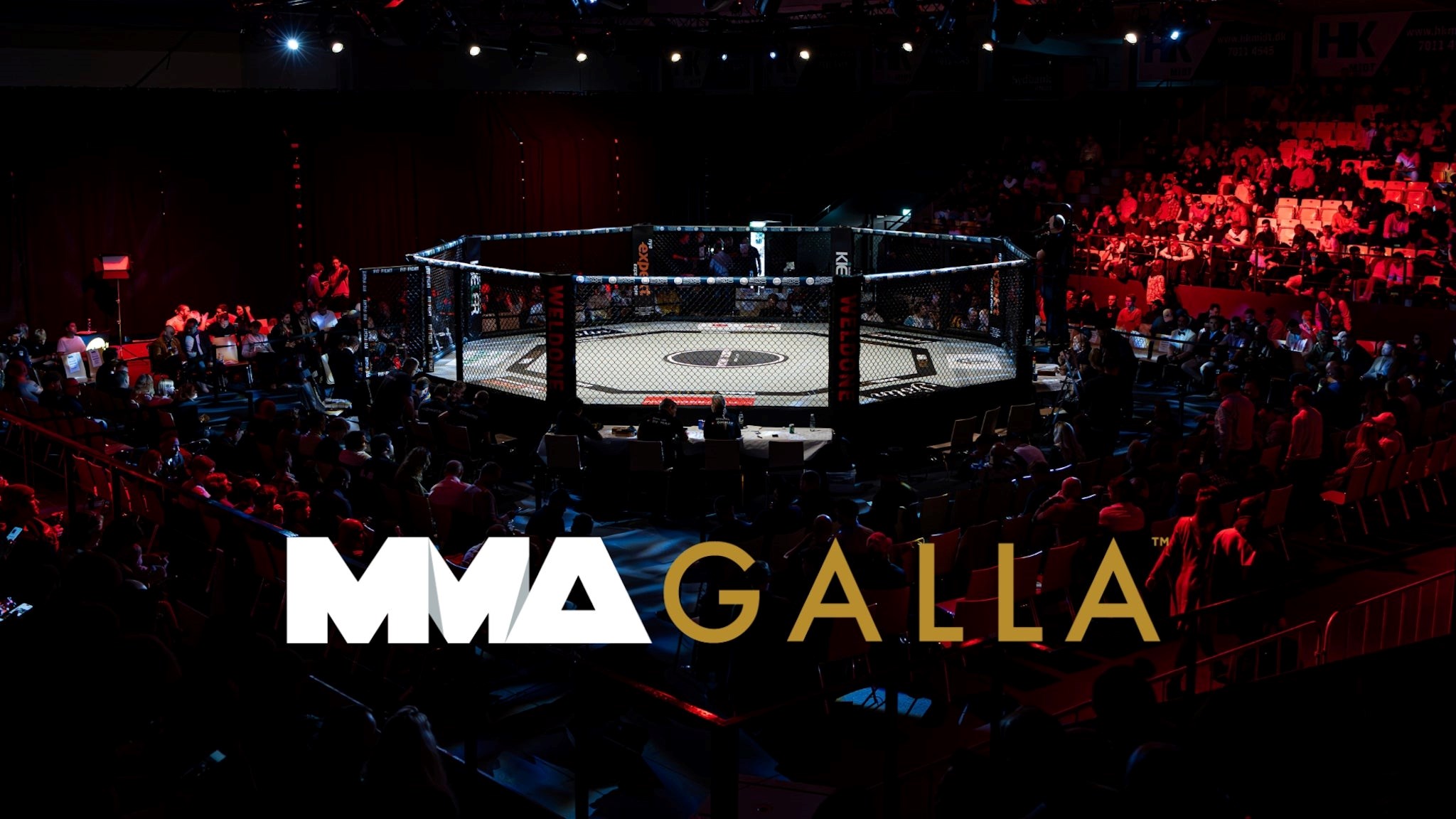 Mma galla vol. 29