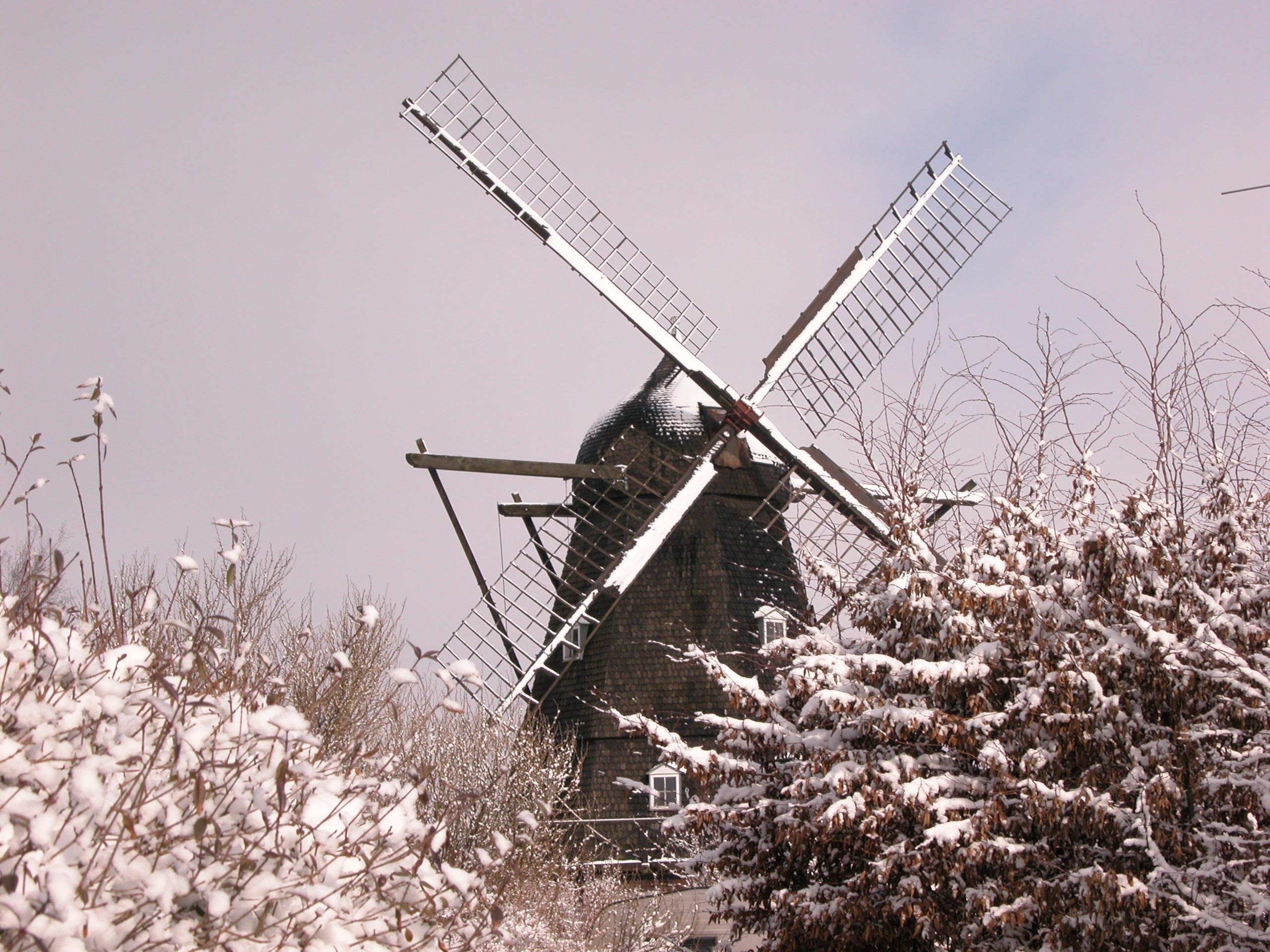 Julemarked på Den gamle Mølle: Skenkelsø Mølle Museum