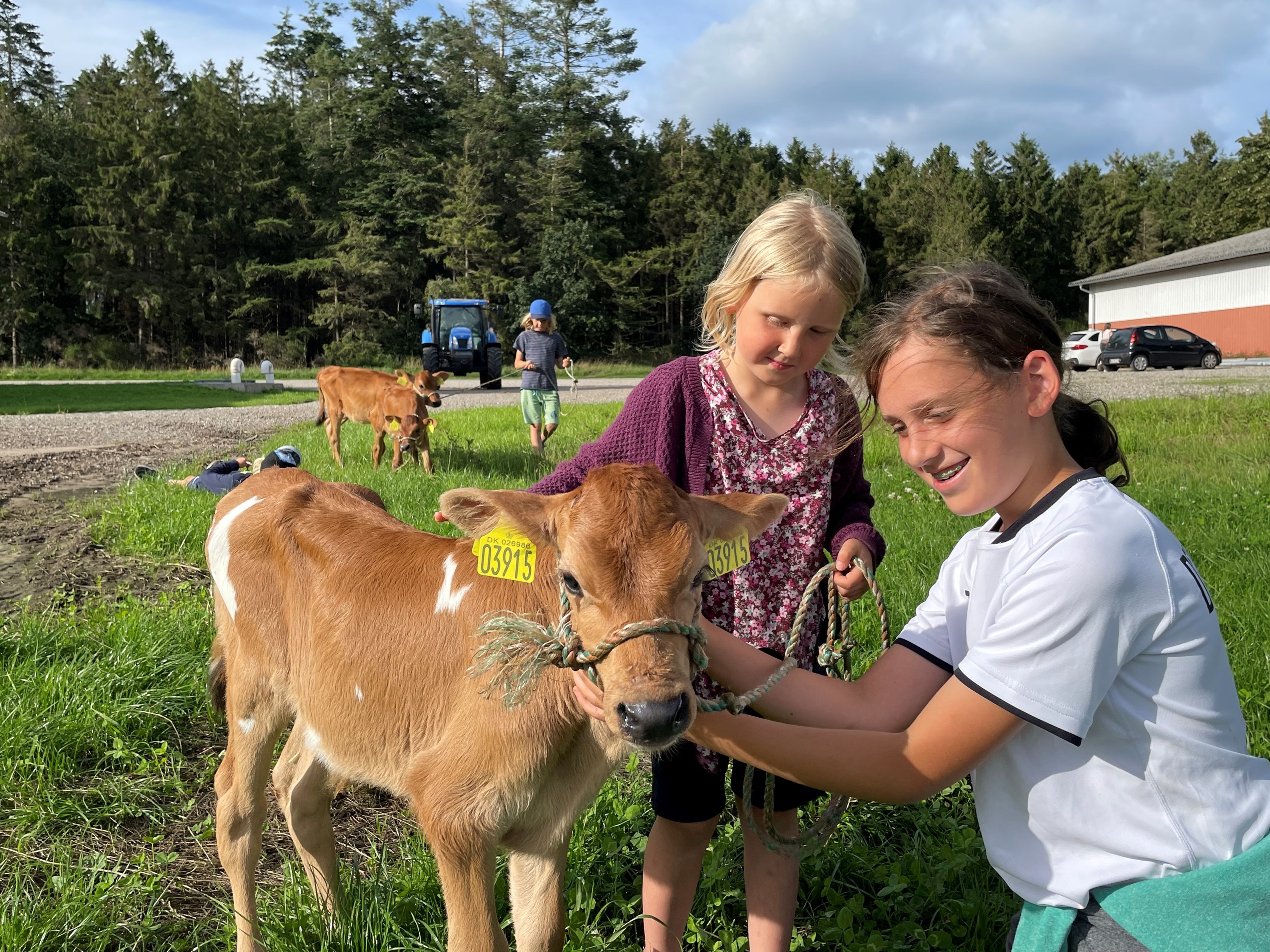 Djurslandgården: Gårdbesøg for alle i sommerferien 2025