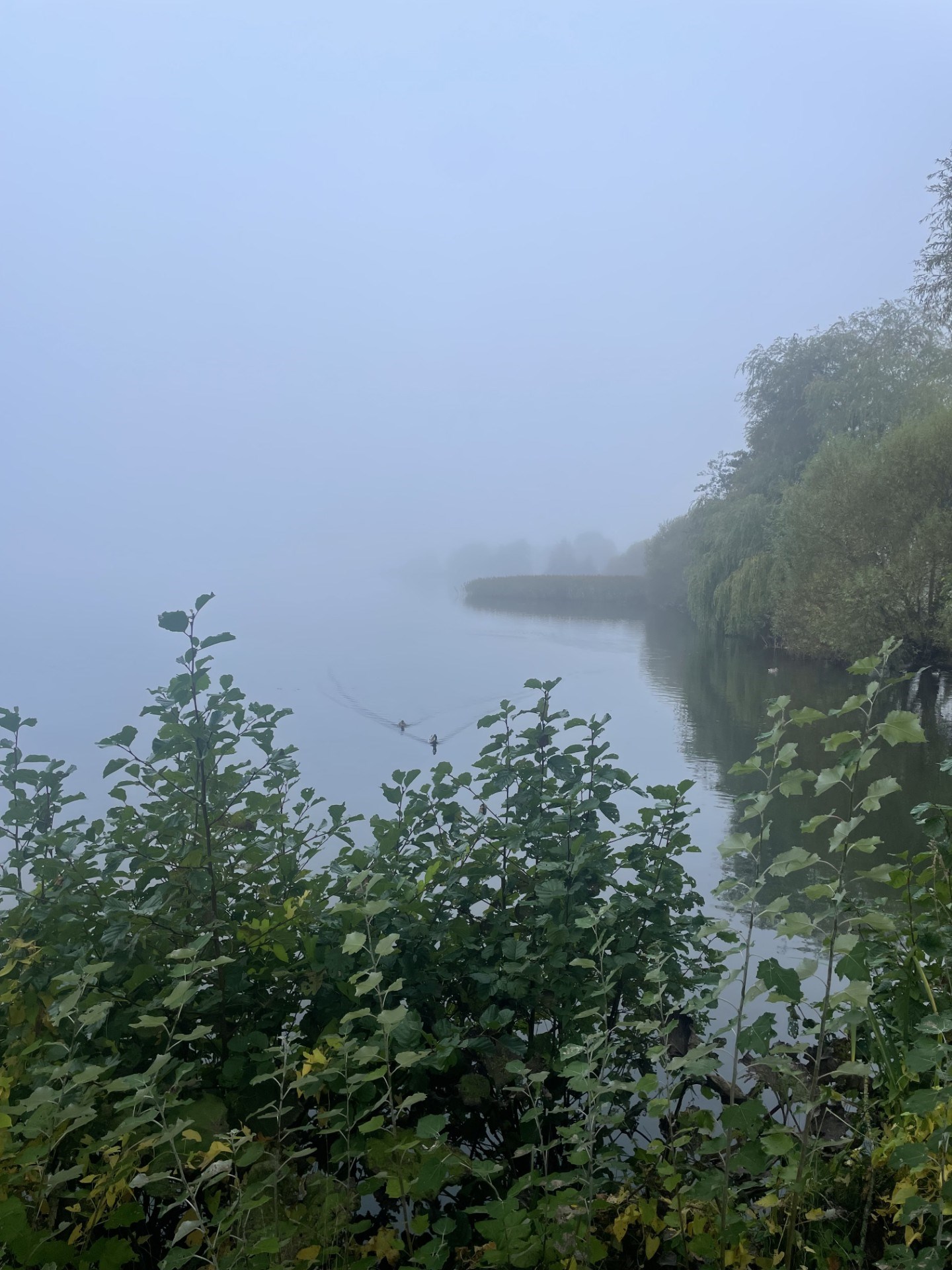Gratis workshop: Stokastisk vandring - modkort over Søndersø