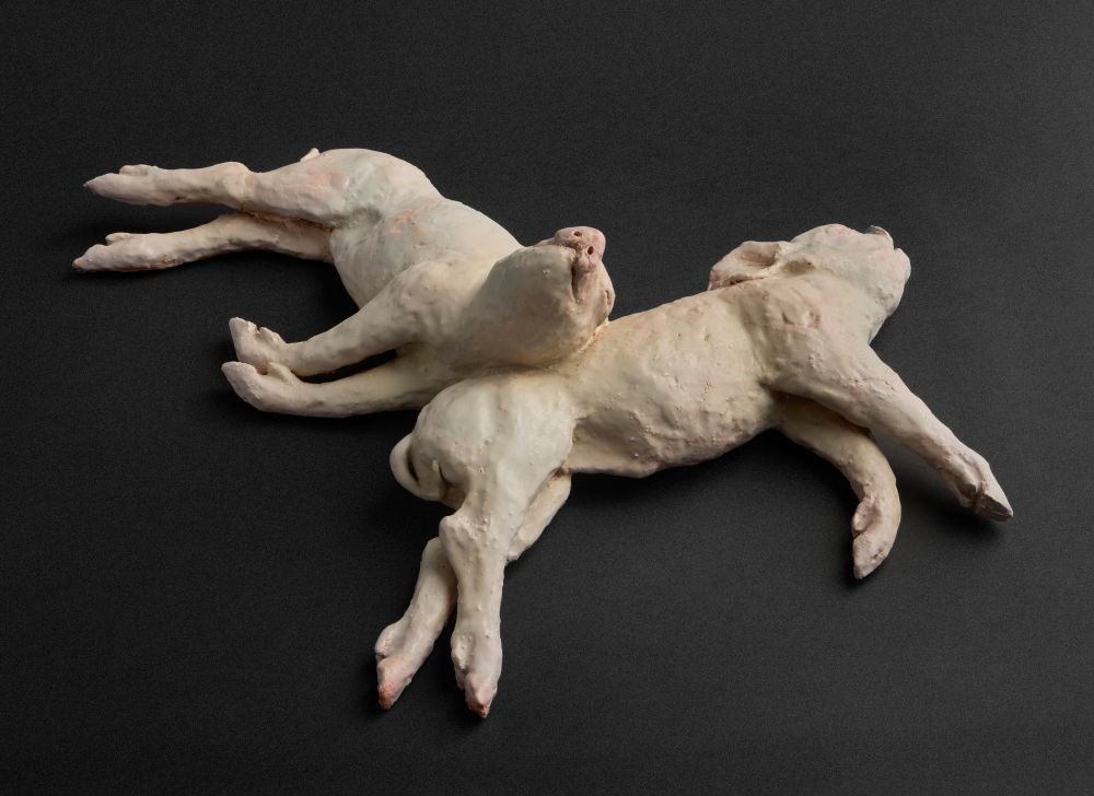 Fernisering: udstillingen "Studies of Natrure"