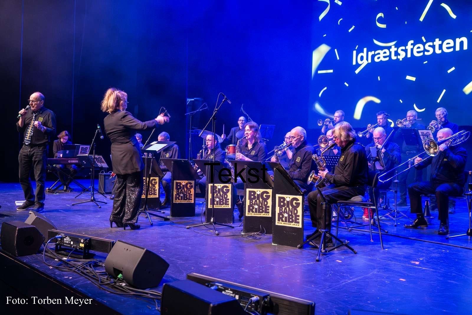 Friluftskoncert - Ribe Big Band